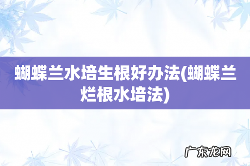 蝴蝶兰烂根水培法 蝴蝶兰水培生根好办法