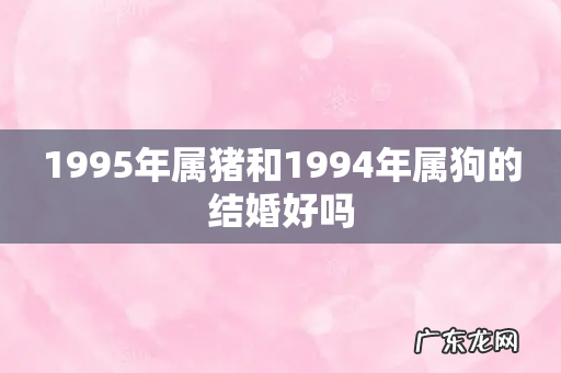 1995年属猪和1994年属狗的结婚好吗