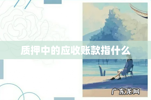 质押中的应收账款指什么