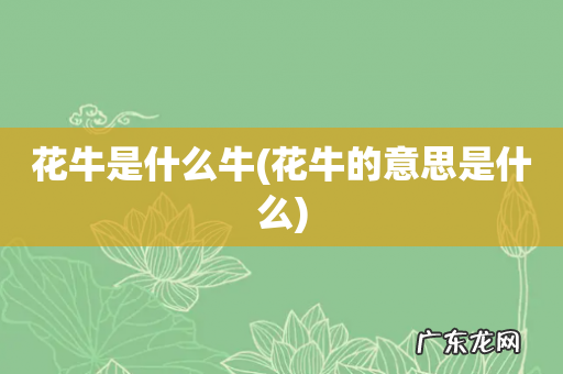花牛的意思是什么 花牛是什么牛