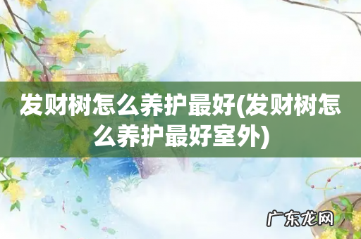 发财树怎么养护最好室外 发财树怎么养护最好