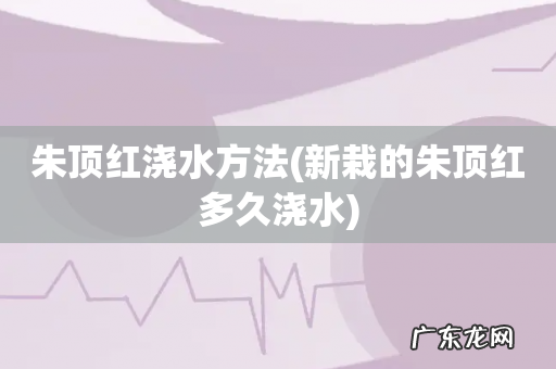新栽的朱顶红多久浇水 朱顶红浇水方法