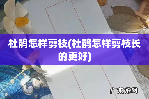 杜鹃怎样剪枝长的更好 杜鹃怎样剪枝