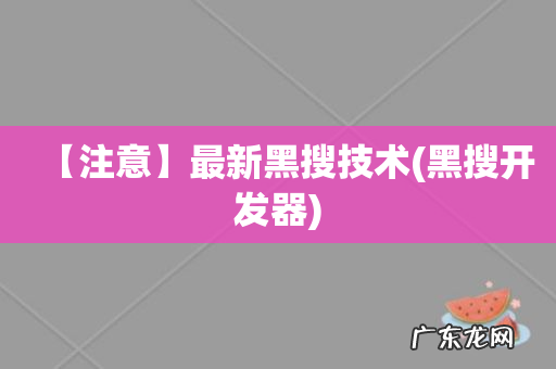 黑搜开发器 【注意】最新黑搜技术