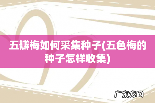 五色梅的种子怎样收集 五瓣梅如何采集种子