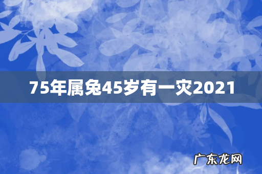 75年属兔45岁有一灾2021