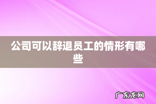 公司可以辞退员工的情形有哪些