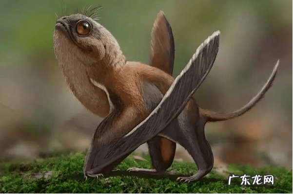 下载方舟生存进化手机版 方舟生存进化山海经