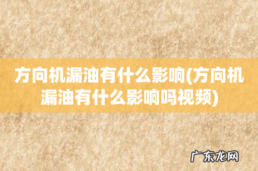 方向机漏油有什么影响吗视频 方向机漏油有什么影响