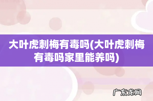 大叶虎刺梅有毒吗家里能养吗 大叶虎刺梅有毒吗