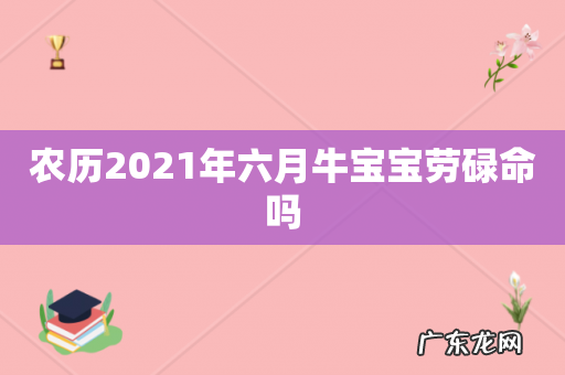 农历2021年六月牛宝宝劳碌命吗