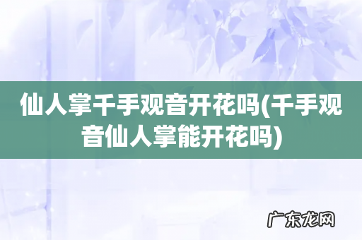 千手观音仙人掌能开花吗 仙人掌千手观音开花吗
