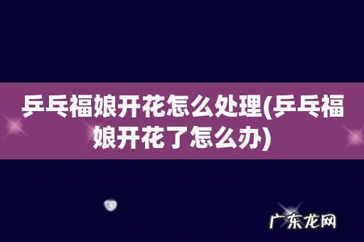 乒乓福娘开花了怎么办 乒乓福娘开花怎么处理