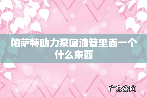 帕萨特助力泵回油管里面一个什么东西