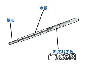 腋下水银体温计要加0.5度吗 水银温度计腋下测量怎么看