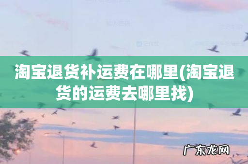 淘宝退货的运费去哪里找 淘宝退货补运费在哪里