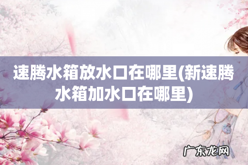 新速腾水箱加水口在哪里 速腾水箱放水口在哪里