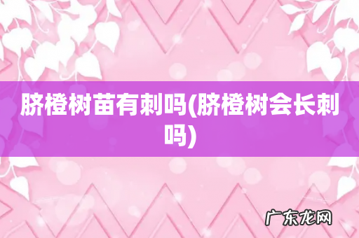 脐橙树会长刺吗 脐橙树苗有刺吗
