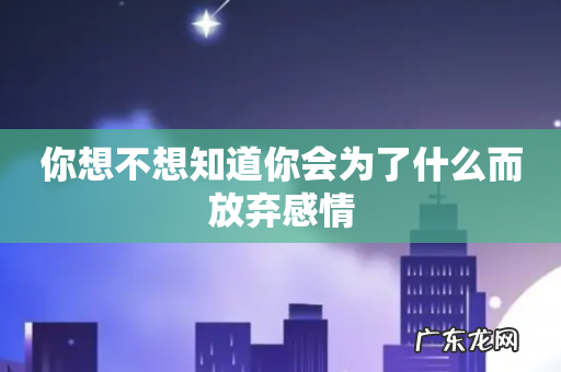 你想不想知道你会为了什么而放弃感情