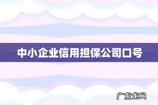 中小企业信用担保公司口号