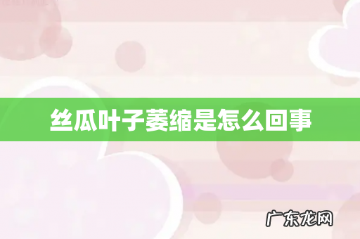 丝瓜叶子萎缩是怎么回事