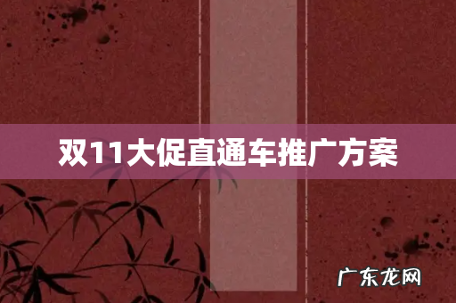 双11大促直通车推广方案