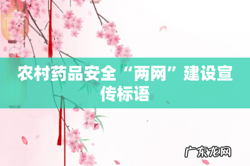 农村药品安全“两网”建设宣传标语