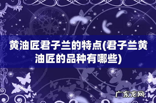君子兰黄油匠的品种有哪些 黄油匠君子兰的特点