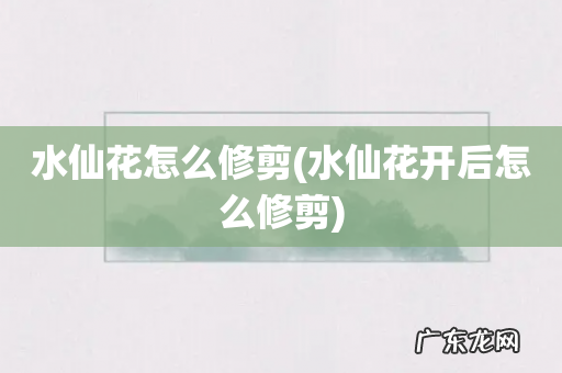 水仙花开后怎么修剪 水仙花怎么修剪