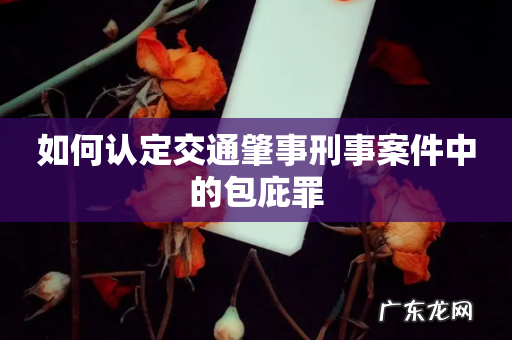 如何认定交通肇事刑事案件中的包庇罪