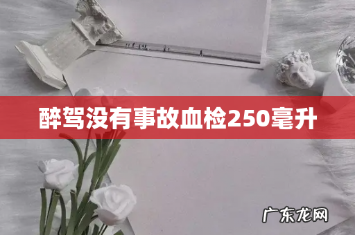 醉驾没有事故血检250毫升