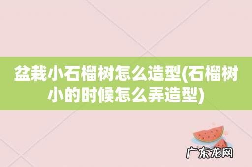 石榴树小的时候怎么弄造型 盆栽小石榴树怎么造型