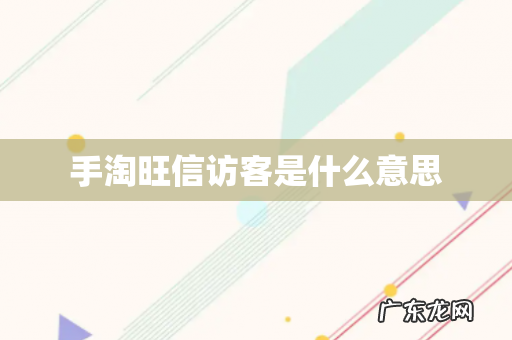 手淘旺信访客是什么意思