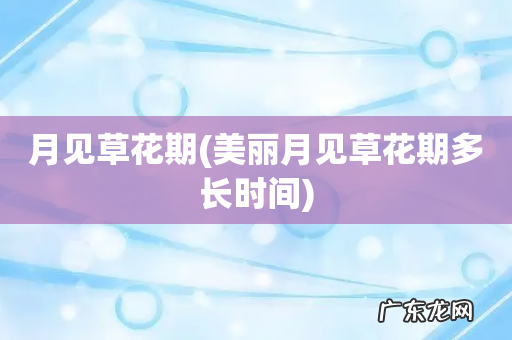 美丽月见草花期多长时间 月见草花期