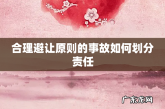 合理避让原则的事故如何划分责任