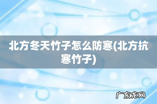 北方抗寒竹子 北方冬天竹子怎么防寒