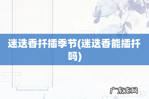 迷迭香能插扦吗 迷迭香扦插季节