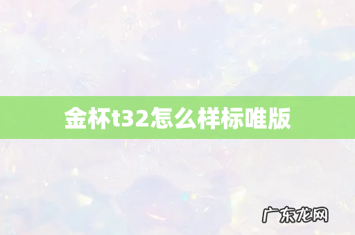 金杯t32怎么样标唯版