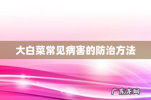 大白菜常见病害的防治方法