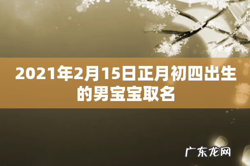 2021年2月15日正月初四出生的男宝宝取名