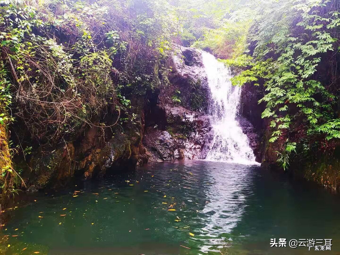为什么叫烂柯山 高要烂柯山虎坑风水