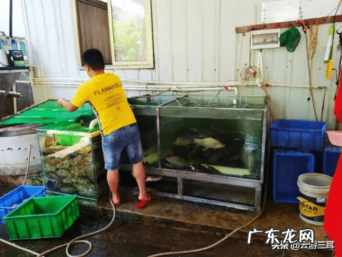 为什么叫烂柯山 高要烂柯山虎坑风水