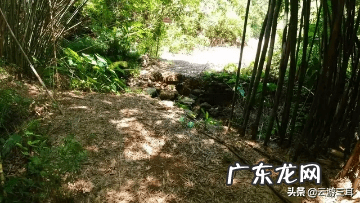 为什么叫烂柯山 高要烂柯山虎坑风水