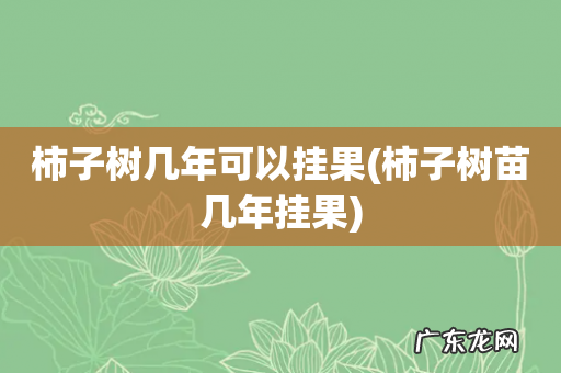 柿子树苗几年挂果 柿子树几年可以挂果