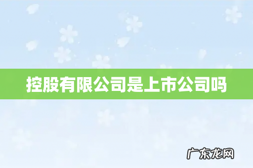 控股有限公司是上市公司吗