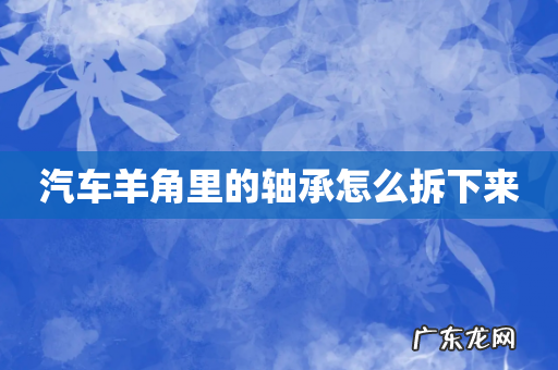 汽车羊角里的轴承怎么拆下来