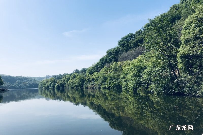 串珠龙的风水结为 龙盘的风水意义