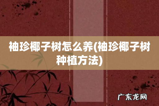 袖珍椰子树种植方法 袖珍椰子树怎么养