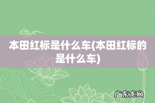 本田红标的是什么车 本田红标是什么车