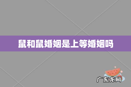 鼠和鼠婚姻是上等婚姻吗